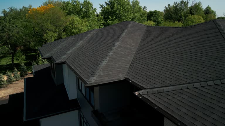 Best Roof Leak Repair  in Sterling Heights, MI