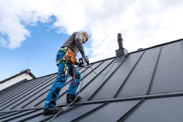 Best Metal Roofing Installation  in Sterling Heights, MI